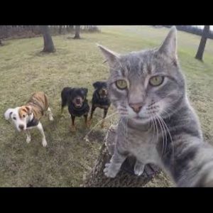 Meet your Posher, Elijah